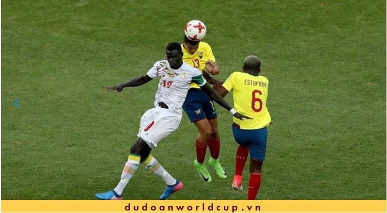 Trực Tiếp Ecuador vs Senegal, 22h ngày 29/11/2022 [Kèm link]