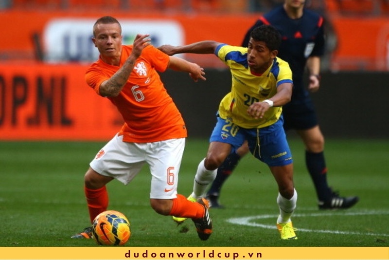 Trực Tiếp Hà Lan vs Ecuador, 23h ngày 25/11/2022 [Kèm link]