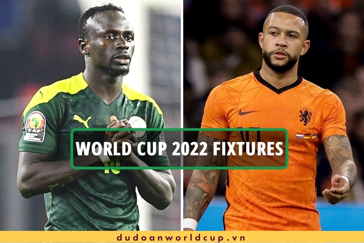 Trực Tiếp Senegal vs Hà Lan, 17h ngày 21/11/2022 [Kèm link]