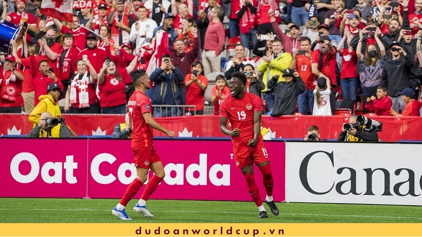 Giao hữu Qatar vs Canada: Chủ nhà "toàn thua" trước thềm World Cup 2022