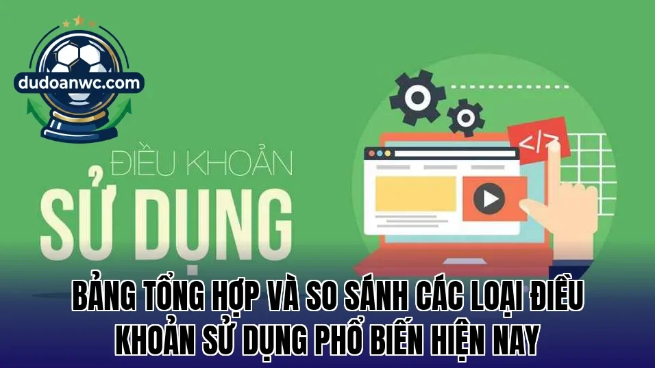 Bảng tổng hợp và so sánh các loại điều khoản sử dụng phổ biến hiện nay