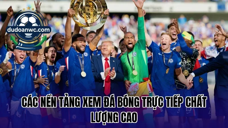 Các nền tảng xem đá bóng trực tiếp chất lượng cao