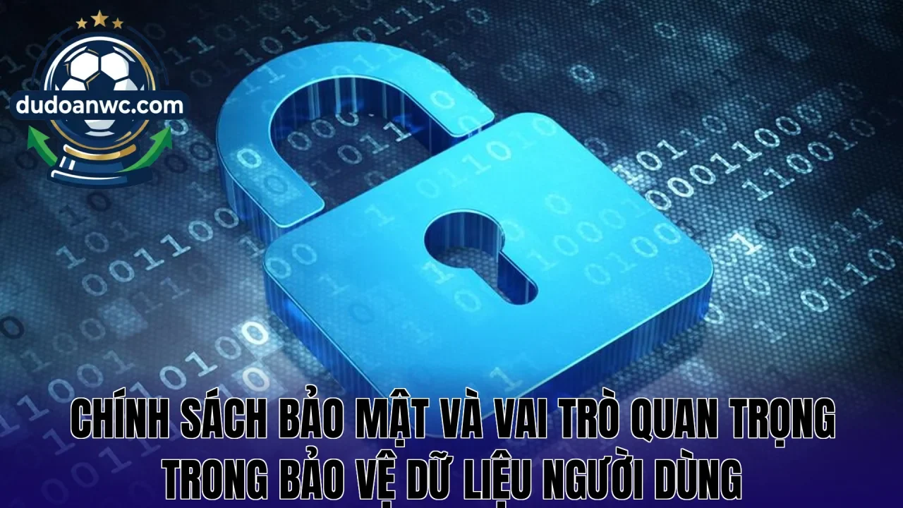 Chính sách bảo mật và vai trò quan trọng trong bảo vệ dữ liệu người dùng
