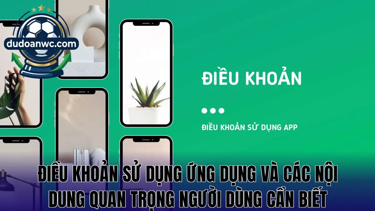 Điều khoản sử dụng ứng dụng và các nội dung quan trọng người dùng cần biết