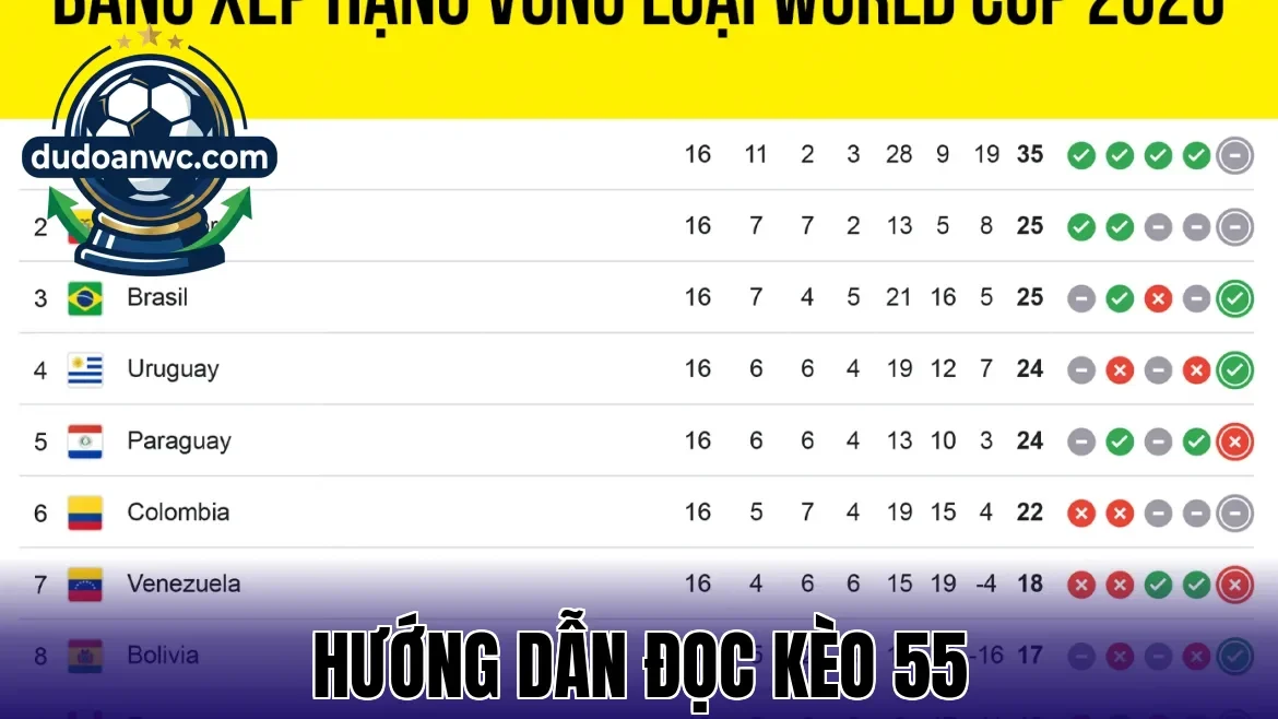 Hướng Dẫn Đọc Kèo 55