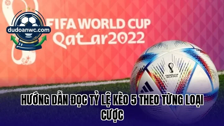 Hướng dẫn đọc tỷ lệ kèo 5 theo từng loại cược
