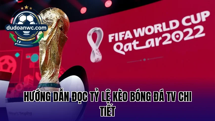 Hướng dẫn đọc tỷ lệ kèo bóng đá TV chi tiết
