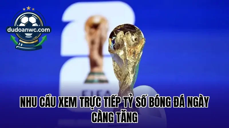 Nhu cầu xem trực tiếp tỷ số bóng đá ngày càng tăng