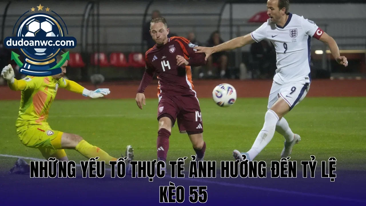 Những yếu tố thực tế ảnh hưởng đến tỷ lệ kèo 55