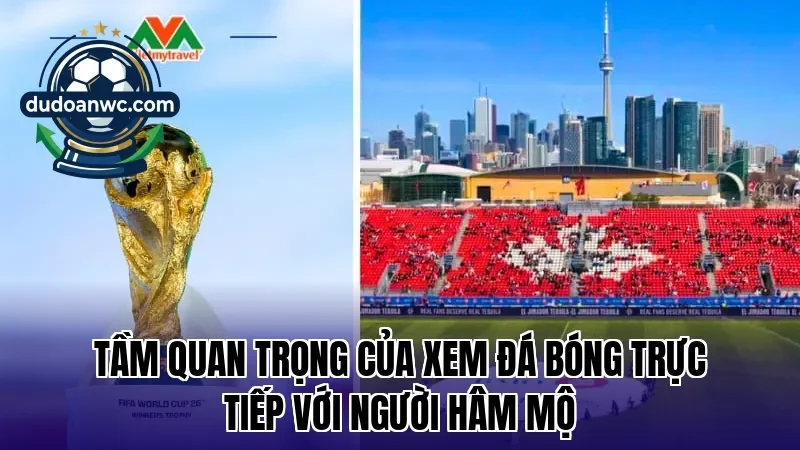 Tầm quan trọng của xem đá bóng trực tiếp với người hâm mộ