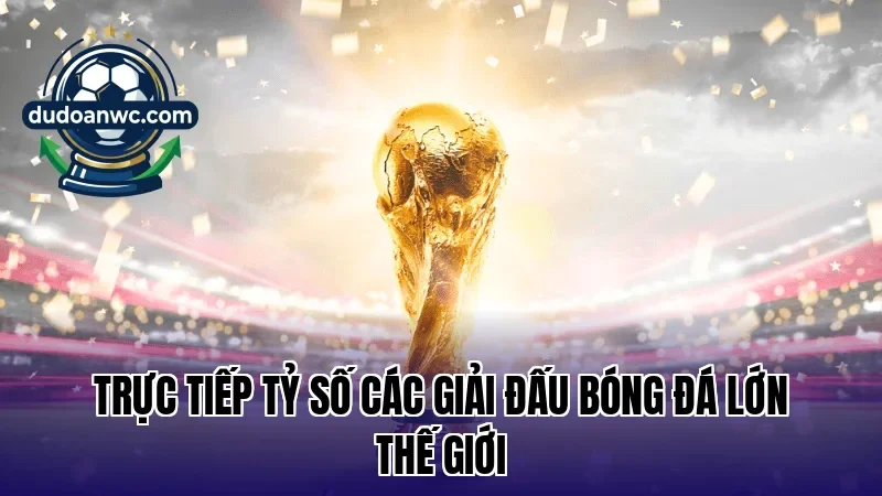 Trực tiếp tỷ số các giải đấu bóng đá lớn thế giới
