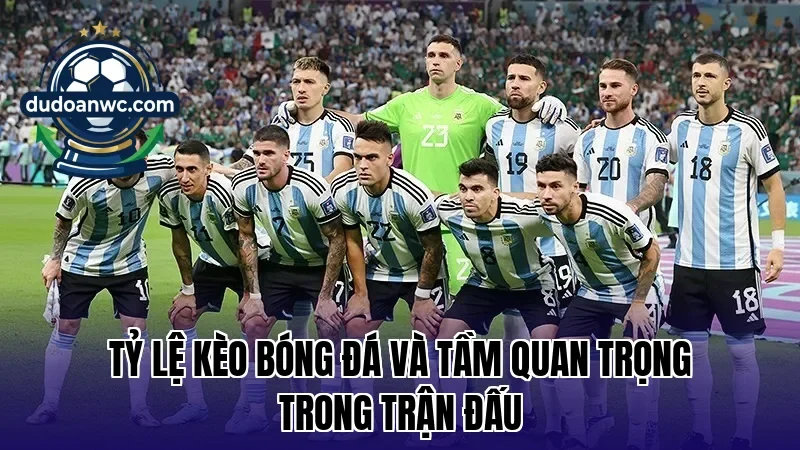 Tỷ lệ kèo bóng đá và tầm quan trọng trong trận đấu